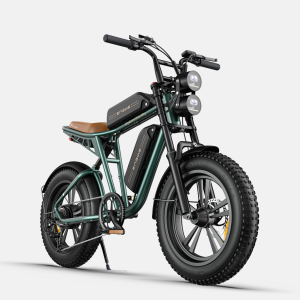dual battery engwe m20 electric fat bike