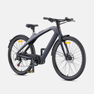 ENGWE N1 Pro - 1
